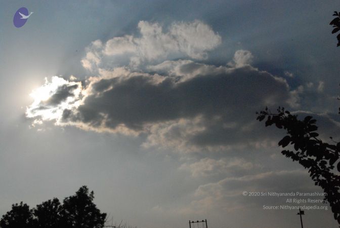 20100126 Photo 1094 1P5E8h1tuSGqpoA5YoVqBXqAFu7i5ewA-.JPG