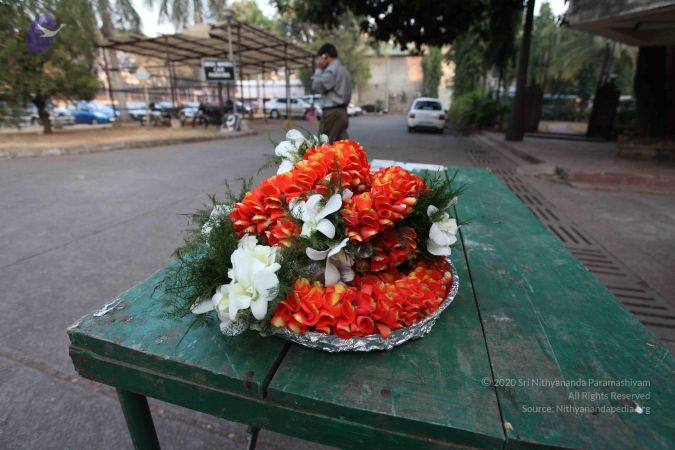 20100126 Photo 1097 11 Mzt8sHeiIGm5DX9pZEMhvOnLkOd5zz.JPG