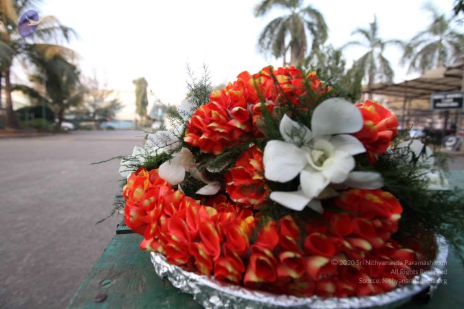 20100126 Photo 1098 1Md46bX5NNKU4Z2U7TTEHnn0QevHtv8gk.JPG