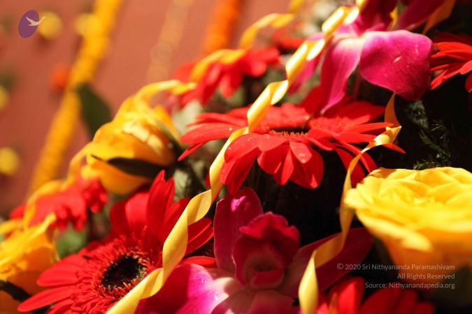 20100126 Photo 1101 1LdzkORrVIgykf9bVkXHh8Mbtsgy4L1fd.JPG