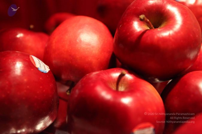 20100126 Photo 1104 1zIl8VFS9wqeQiHi-7MORgaDcdky7Bmnd.JPG