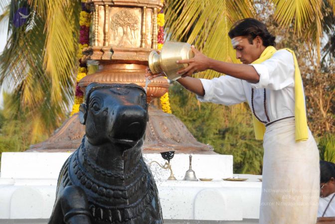 20100127 Photo 1311 1rUsl6d6uJGy3YEvJSmlgg6kz3H1KDS8T.JPG