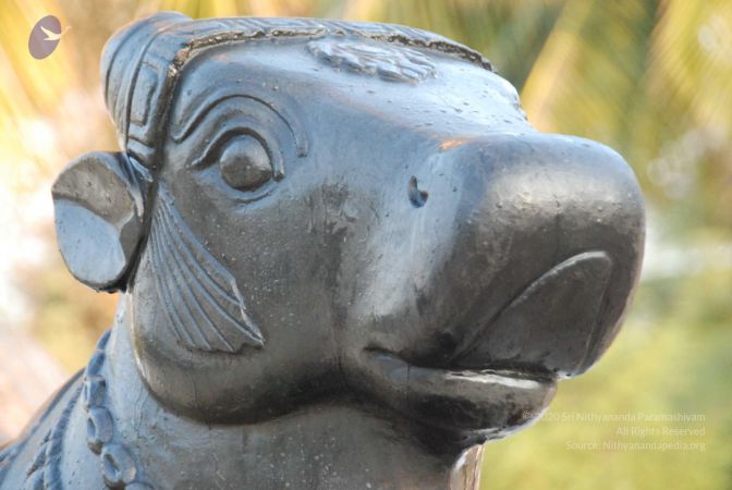 20100127 Photo 1313 1wba31tffA3XcCycVieX4zF53oKHlhCd2.JPG