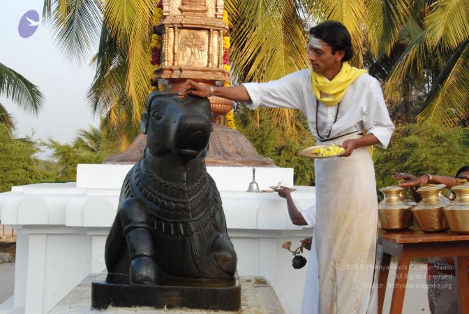 20100127 Photo 1317 1jnpMh4VbbQvJN0XrlnYhQjjwLPnFmdlh.JPG