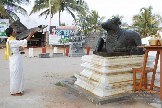 20100127 Photo 1321 1rOc5e1Jr2tOKYA7B2ElV0ptw3X RsItd.JPG