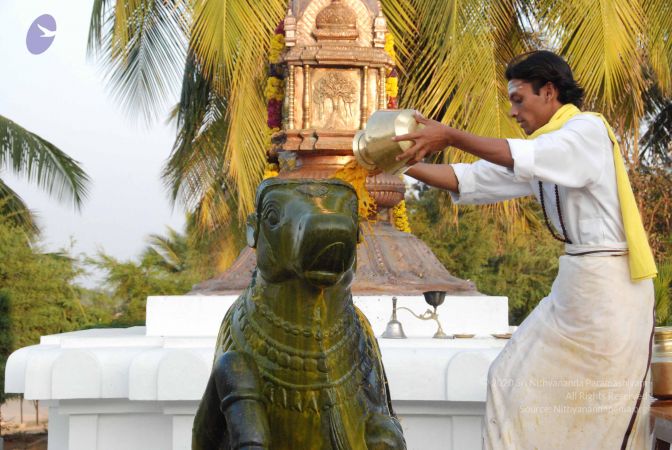 20100127 Photo 1326 1fCyVJX2eh1PER5Kc-1NU9l568aL eoIv.JPG