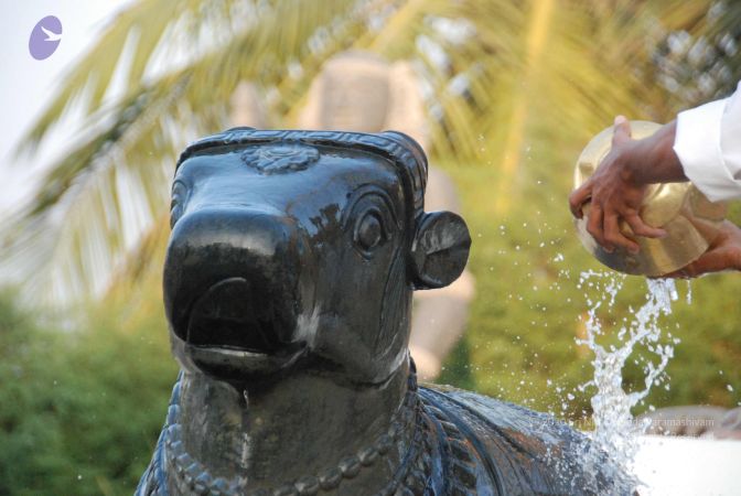 20100127 Photo 1331 1VvUUAH6yOxpvg7hTMrNeSzEyuRaFGIxj.JPG