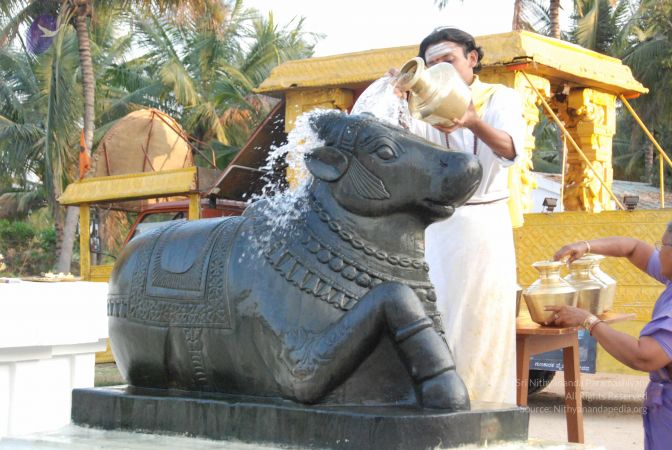 20100127 Photo 1336 18gjzqoFm5tW2ggeOJoe3YNrnlROQh1K7.JPG