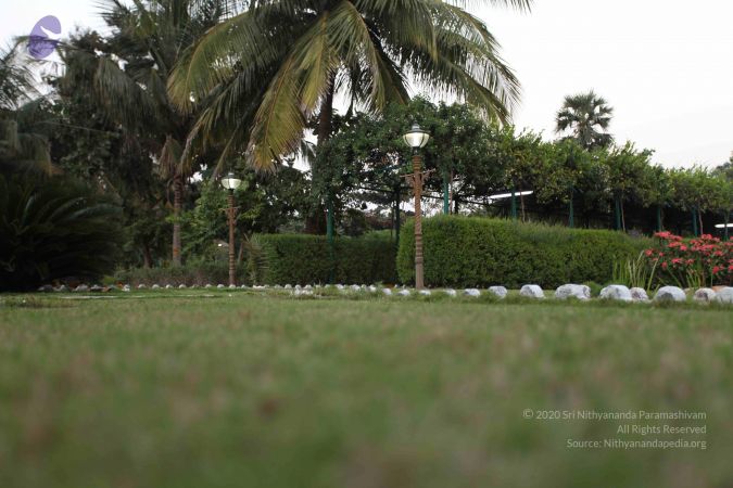 20100202 Photo 1203 19adOXlpFfBwWIDdvXJs53r 60gMoX3CU.JPG