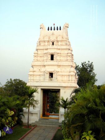 20100203 DSCN2862 CMP WM1.jpg