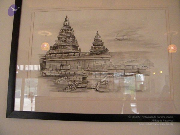 20100205 Photo 1043 1bPT8pjQlumDKsLX2PFffpXUOdzxxYFs9.JPG