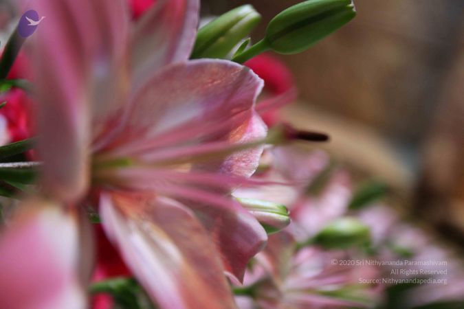 20100206 Photo 1036 1prlZRNCUs-rQgFG8DGe0XOh9ks4vi6AE.JPG