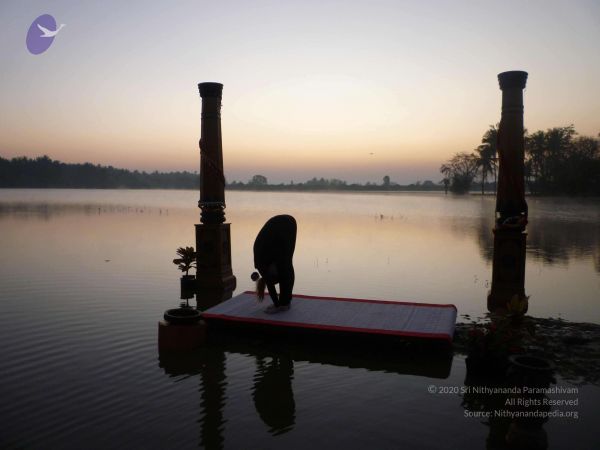 20100206 Photo 103 1-E3Htia5D9cU171Ymd rSW9K0226Wflo.jpg