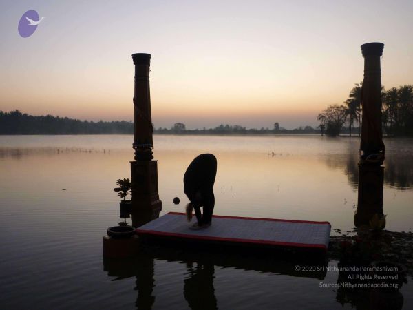 20100206 Photo 110 1Gy12ys7Fw-b pbdC39jzfWx0eiM-ft07.jpg