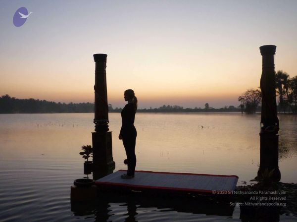 20100206 Photo 116 1L-ZwsGUEOyRx9o68xc 51wtLsiq9 MpM.jpg