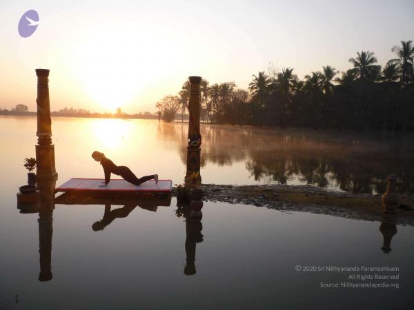 20100206 Photo 151 1E-jkPAmLs2qKWKjYpQoLhR929l74W pG.jpg