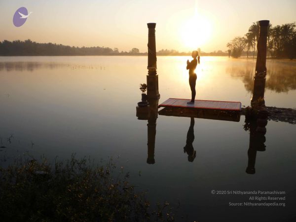 20100206 Photo 18 1qDMsJTVV0p08OZ2rOC8ZrwQLrH9goVKY.jpg