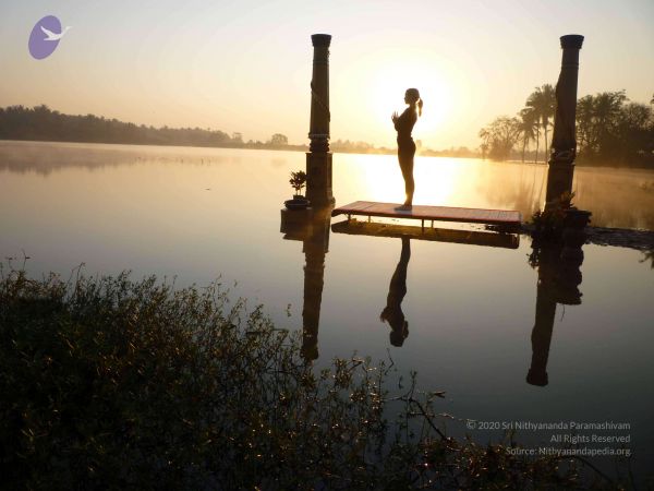 20100206 Photo 2 1ztoCMJ204xlA4THmMy2nEqI1BHTUg0S5.jpg