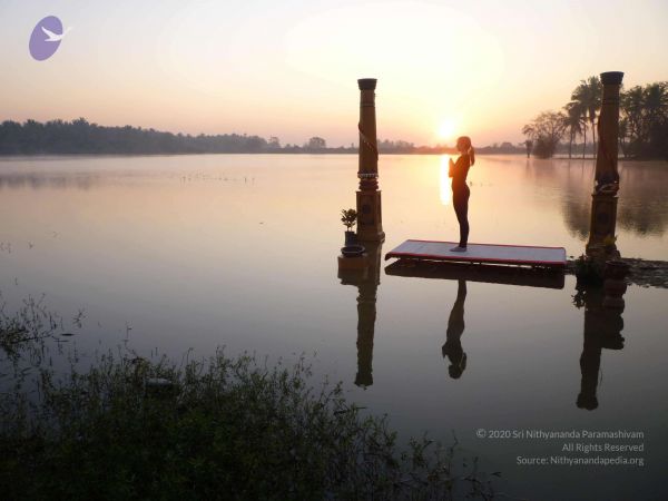 20100206 Photo 35 1tRMglrrrtcuvckH1-FMuWqTCzbPhdoPF.jpg