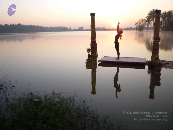 20100206 Photo 44 1RvPDK-cT0ElNh6RSSgVbxrQWwUZAra7Z.jpg