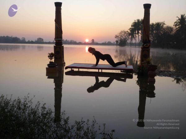 20100206 Photo 56 1tkFi75dN1Y9IbZge8GE792 lHcHud0x .jpg