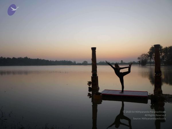 20100206 Photo 75 1mcoO9N20II4Ai9NjLgUoSKMKm-7W1CV4.jpg