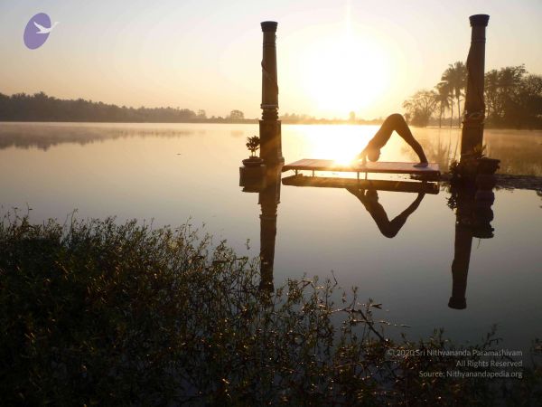 20100206 Photo 8 1ZnQ 3TEyhebcMbjDBgYojE8OdZ59thss.jpg