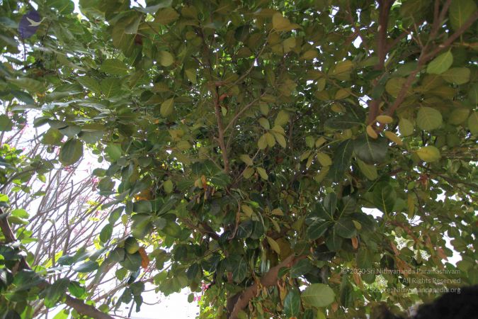 20100208 Photo 1016 1kKBwWMaDjMGY -RpbqpuZaZXzSSXB7z7.JPG