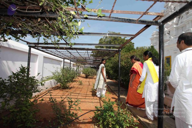 20100208 Photo 1020 1bbUUfjwA5VHLp7P2tb1omDFslzghlL38.JPG