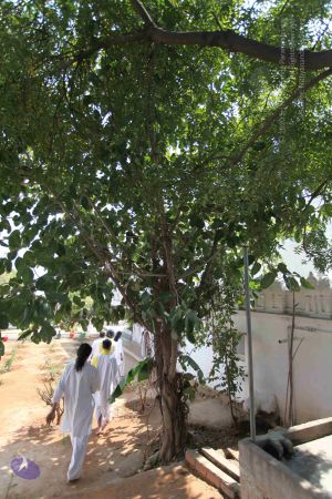 20100208 Photo 1022 1jtY-P1980T4F7ONn3LCav8iCQOAmlUDY.JPG