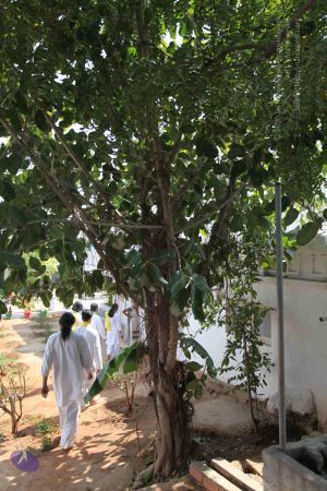 20100208 Photo 1023 1R5NPd2ZAOPaN9SjhmGjRZMR1FeIPqjqs.JPG