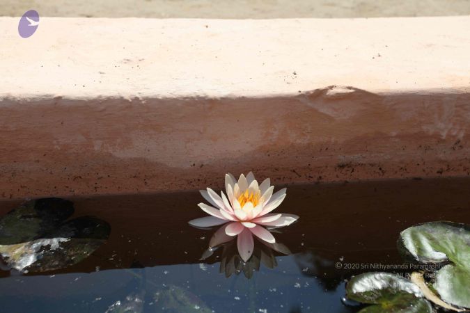 20100208 Photo 1028 1OV-i3-96GHGS0PXO3CdQ5GczW-l1u0EB.JPG