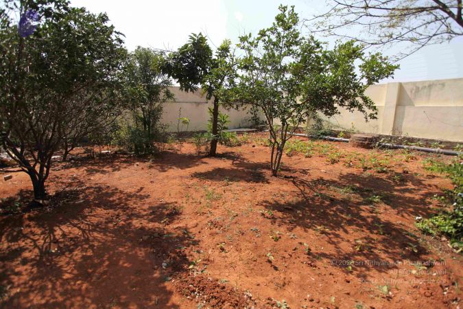 20100208 Photo 1086 13 -JuNArQeTVyUVeHH51fL9QrCdM9OEQ.JPG