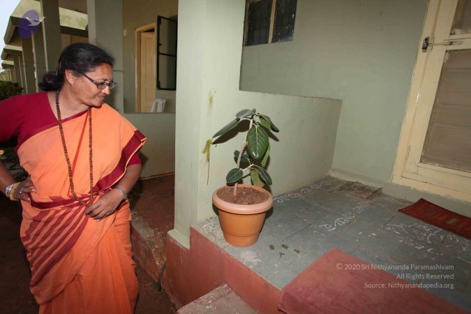 20100208 Photo 1093 1gzsUDnaJPboVYBYB5Sni6Zt4ZiTJxKjw.JPG