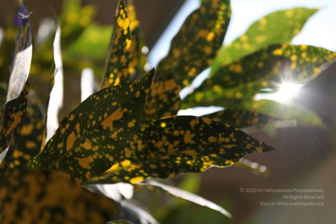 20100208 Photo 1107 1HZ8UwXzINe7H7ewU00QIQ 3s0NcFt-K4.JPG