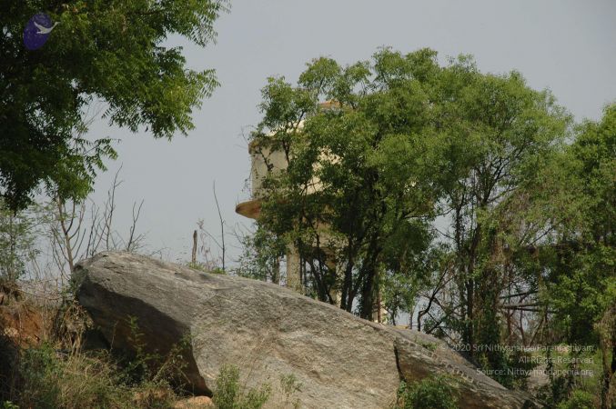 20100605 Photo 1000 1L 3hV8B90zPSX 8V GYkpuESVR5Jm0C1.JPG