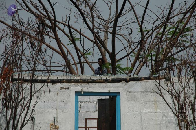 20100605 Photo 1005 1dUdJHE3pI-y9CGxI3gXWVSQNgVCZvutZ.JPG