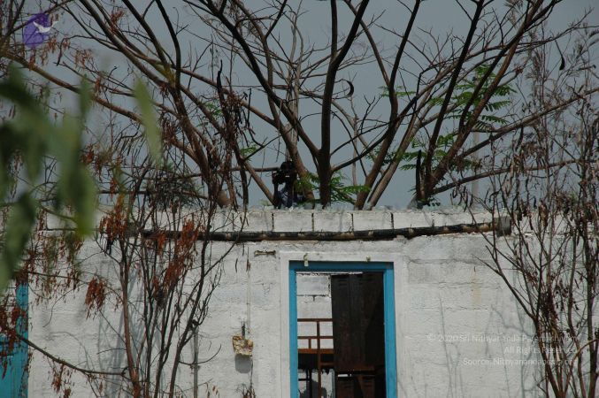 20100605 Photo 1008 1DHgbDPr4sN4uysfxMdvF8f2IgfOdDdvJ.JPG