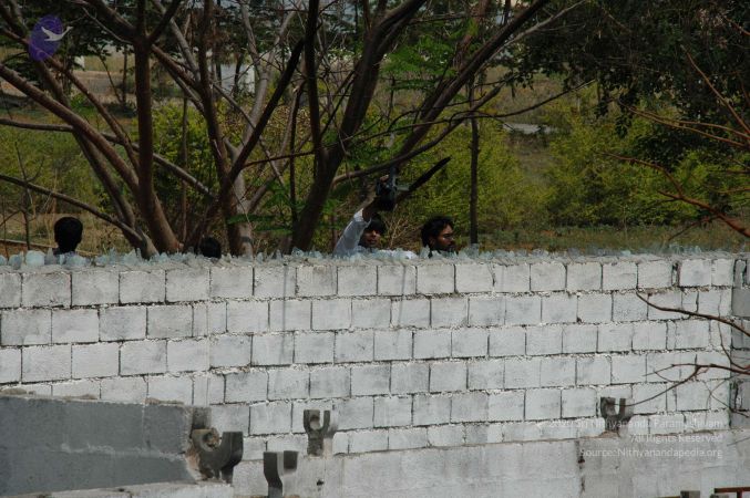 20100605 Photo 1014 1K-ew21IjU0Jl8a0m80U4-rQq3JJOSoX0.JPG