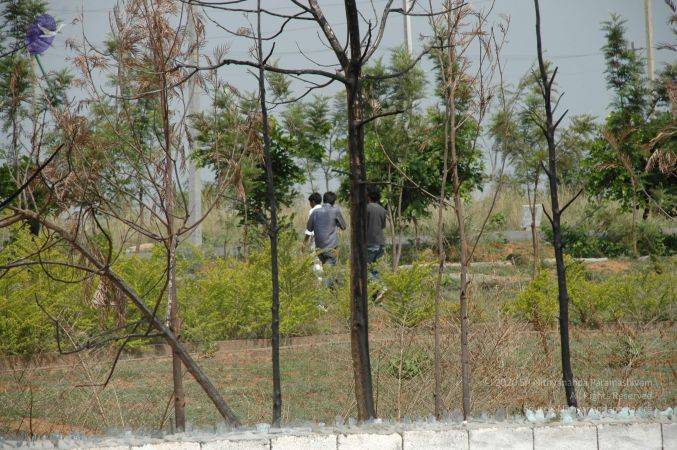 20100605 Photo 1021 1uuQTZSTgxU0Oq8RWB5 hYk0uK2TqW9AF.JPG