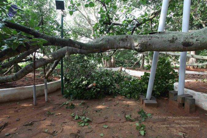 20100605 Photo 1050 1B 6xy-tQgnL7W0-EQ2sOW7oAymRDUUtg.JPG