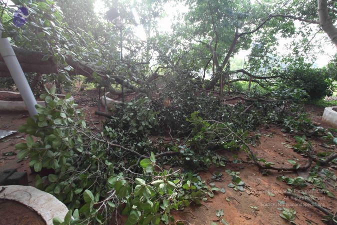 20100605 Photo 1053 1FhImqGzPIBfx4zz-ZAWBnLwb 7fqOSWY.JPG