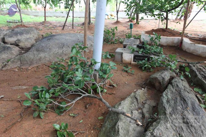 20100605 Photo 1064 1x8bLBLdnmo9EdD5yEnCSrxFwQkghbjji.JPG