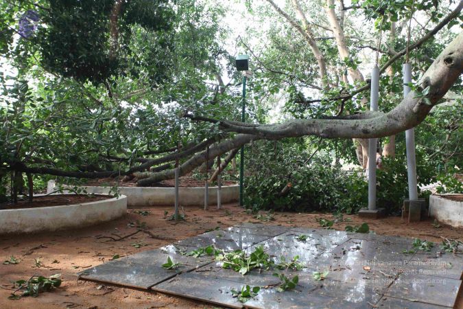 20100605 Photo 1066 1X6JIeExaowbP68H00DWBYOQRKVW6Z1VV.JPG