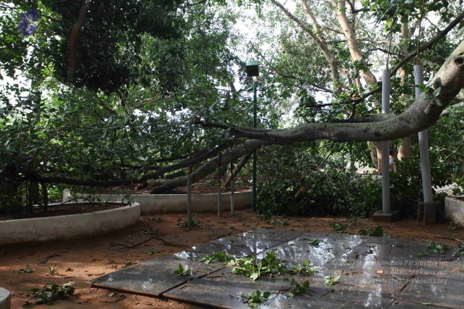 20100605 Photo 1067 1h7ik5DLD5O8NwJb5KMfb8-wKzU3XAXDi.JPG