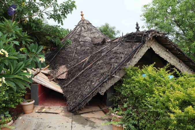 20100605 Photo 1074 1GrZVqvsr9QqYTqZ0p-YAB7sKWeDZsyM6.JPG