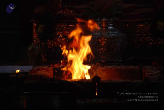 20100606 Photo 1069 1OLERDwJTSBOSNWAdrVSR3b8eEBbw Cd7.JPG