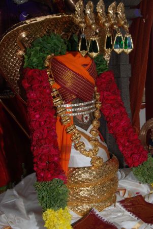 20100607 Photo 1006 1fYPDOrAv7lTAbbUVgfKj0Q0ejgfftaQr.JPG