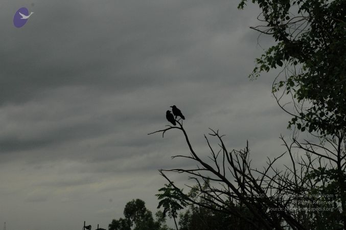 20100611 Photo 1006 14RJIQuhUtJugq5E3aOdMNHZMhSEuI3bo.JPG