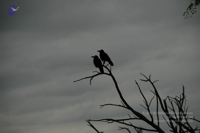 20100611 Photo 1009 1AcwqL9oyE8Yy3vo971DzvB cbv10Z0sw.JPG